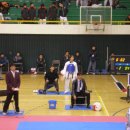 엘리트 태권스쿨 이미지