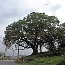 청용1리 이미지