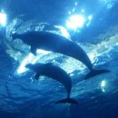 울산 장생포고래박물관 이미지