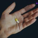 플레이트의원 이미지