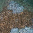 산호수산 이미지