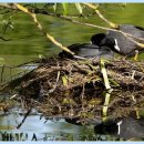 건강369의원 이미지