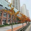 부산지방검찰청 서부지청 | 부산시강서구명지동근린상가경매/ 이편한세상명지1층...3회유찰34% 신축급 서부지청인근 2024타경110990