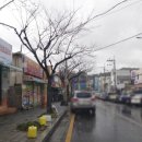 원신온길 이미지