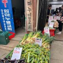 중앙 어르신사랑방 | 안양중앙시장 가성비 야채가게 ‘불티나’ 추천해요! (오이 5개, 1000원)
