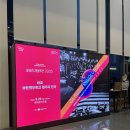 브란덴브르크 | [공연 후기][클래식 레볼루션 2025] 바흐 브란덴부르크 협주곡 전곡 카메라타 안티콰 서울, 아폴론 앙상블