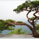 우아하게