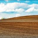 이천행정사사무소 이미지