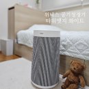 (주)위닉스 | 공기청정기 추천 사계절 필수소형가전 위닉스 타워엣지 실사용후기