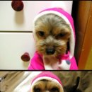 주인아 미용하고가 이미지