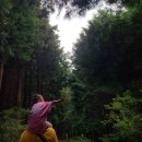 단아목장 이미지