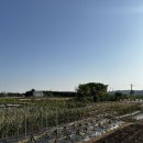 현이네민박 이미지