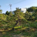 구암동387 이미지