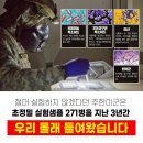 &#34;부산&#34;에 있는것은? 세균! 사람죽이는 탄저균!(미군: 아무도모르겠지~ㅎ) 부산인싸환영 이미지