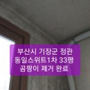 정관약품 이미지