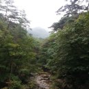 구룡목장 이미지