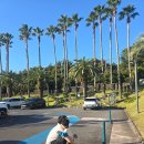 광해세탁 | 소노캄제주 스위트프리미어 스탠다드 더블 취사룸 내돈내산 후기