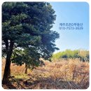 연관목장 이미지