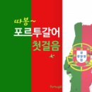 따봉 포르투갈어 첫걸음 이미지