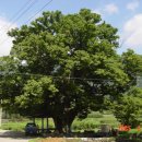 장흥 달바위펜션 이미지