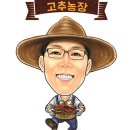 청동초등학교병설유치원 이미지