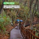 주천면 벚꽃길 | 운일암반일암 숲길 구름다리 진안 둘레길 전북 물놀이 계곡