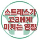 [스트레스가 고3에게 미치는 영향] 학업 스트레스, 자기 통제, 무기력, 청소년 상담, 강남사회성센터, 한국아동청소년심리상담센터 이미지