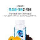 애터미 아이루테인 (90캡슐, 3개월분) 27,000 원 9,500 PV 이미지