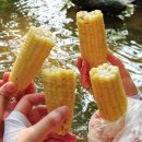 강당골 | 충남 아산 경기도 근처 외암마을 아산 강당골계곡 후기 🌊