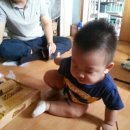 주완농장 이미지