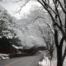 감나무식당 이미지