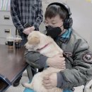 초록소비원주