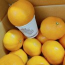 미영아파트 상가 | 3월1일 과일맛집