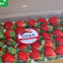 천주농장 이미지