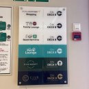 펫시스터즈 | 런던에서 파리 유로스타 아닌 버스타고 가기