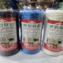 대성소프트 이미지