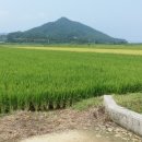 땅나라공인중개사사무소 이미지