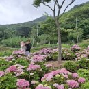 외양포공영주차장 이미지