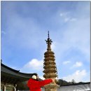 월정사 - 1011 | 월정사