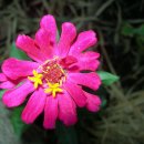 파라다이스 수영장 이미지