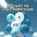 새봄공인중개사사무소 이미지