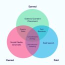 디지털사자 이미지