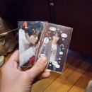하성운 섬데이플레로마 1회차 &amp; 2회차 공연후기 20241214 ( in 세종문화회관)