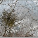 우진비앤지주식회사 이미지