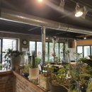 막창의신 이미지