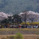 평사리공원 야영장 이미지