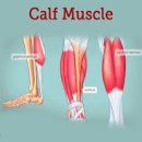 메이저 짐 이미지