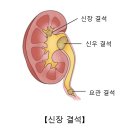 블루비뇨기과의원 이미지