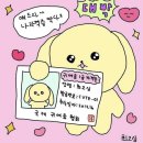 [24년 3회차 실기 정보처리기사, 정처기] 합격 후기