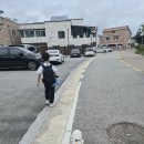 버블독 | [내돈내산] 산책 후 강아지 루비 발바닥 케어 🐾 더독 2in1 풋 버블 클렌져 사용후기